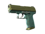 P2000 | Marsh (Well-Worn)