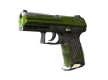 P2000 | Turf (Battle-Scarred)