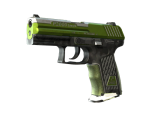 P2000 | Turf (Well-Worn)