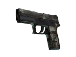 P250 | Bone Mask (Battle-Scarred)