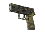 P250 | Boreal Forest (Battle-Scarred)