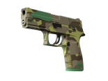 P250 | Boreal Forest (Minimal Wear)