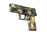 P250 | Contamination (Field-Tested)