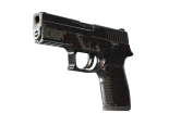 P250 | Dark Filigree (Field-Tested)