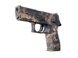 P250 | Drought (Field-Tested)