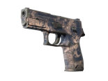 P250 | Drought (Well-Worn)