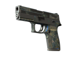 P250 | Exchanger (Battle-Scarred)