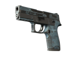 P250 | Forest Night (Battle-Scarred)