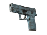 P250 | Forest Night (Well-Worn)