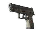 P250 | Small Game (Battle-Scarred)