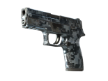 P250 | Steel Disruption (Field-Tested)