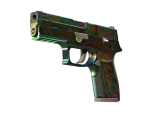 P250 | Visions (Battle-Scarred)