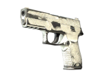 P250 | Whiteout (Battle-Scarred)