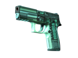 P250 | X-Ray (Minimal Wear)