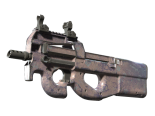 P90 | Wash me (Well-Worn)