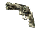 R8 Revolver | Bone Mask (Factory New)