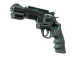 R8 Revolver | Canal Spray (Battle-Scarred)