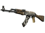 StatTrak™ AK-47 | Wasteland Rebel (Field-Tested)