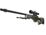 StatTrak™ AWP | Worm God (Field-Tested)