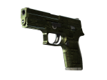 StatTrak™ P250 | Iron Clad (Well-Worn)