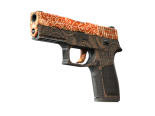 StatTrak™ P250 | Mehndi (Factory New)