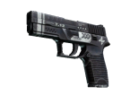 StatTrak™ P250 | Re.built (Well-Worn)