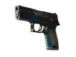 StatTrak™ P250 | Valence (Battle-Scarred)