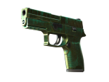 StatTrak™ P250 | Verdigris (Battle-Scarred)