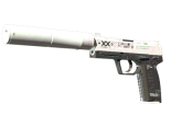 StatTrak™ USP-S | Printstream (Well-Worn)