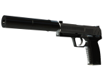 StatTrak™ USP-S | Stainless (Field-Tested)