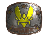 Sticker | Vitality (Foil) | Austin 2025