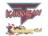 Sticker | karrigan (Holo) | Shanghai 2024