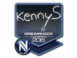 Sticker | kennyS | Cluj-Napoca 2015