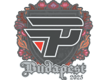 Sticker | paiN Gaming | Budapest 2025