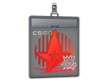 Sticker Slab | Astralis | 2020 RMR