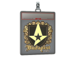 Sticker Slab | Astralis (Gold) | Budapest 2025