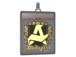 Sticker Slab | Aurora (Gold) | Budapest 2025