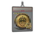 Sticker Slab | BIG (Gold) | 2020 RMR