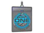 Sticker Slab | ESL One | Katowice 2015