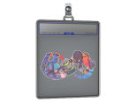 Sticker Slab | Endless Cycle