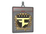 Sticker Slab | FaZe Clan (Gold) | Budapest 2025
