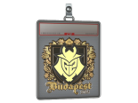 Sticker Slab | G2 esports (Gold) | Budapest 2025