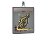Sticker Slab | Graviti (Gold) | Shanghai 2024