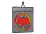 Sticker Slab | HellRaisers (Holo) | Katowice 2019
