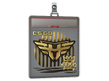 Sticker Slab | Heroic (Gold) | 2020 RMR