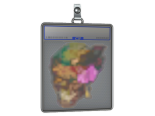 Sticker Slab | Lorena