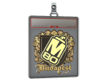 Sticker Slab | M80 (Gold) | Budapest 2025