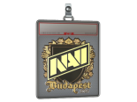 Sticker Slab | Natus Vincere (Gold) | Budapest 2025