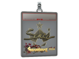 Sticker Slab | Sonic (Gold) | Shanghai 2024