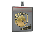 Sticker Slab | Team Liquid (Gold) | Stockholm 2021